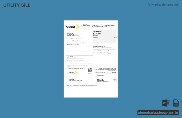 USA Sprint T-Mobile Beispielrechnung Vorschau